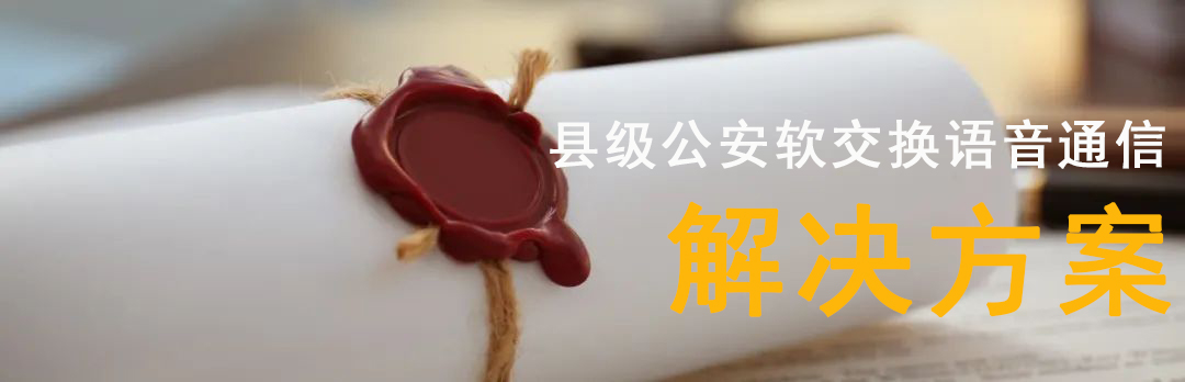 利達信:縣級公安軟交換語音通信解決方案